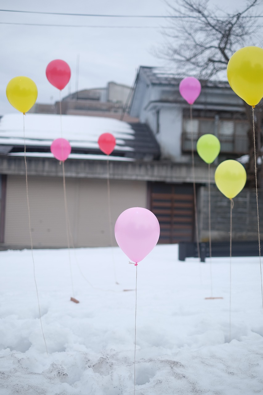 balloons colours decoration free photo