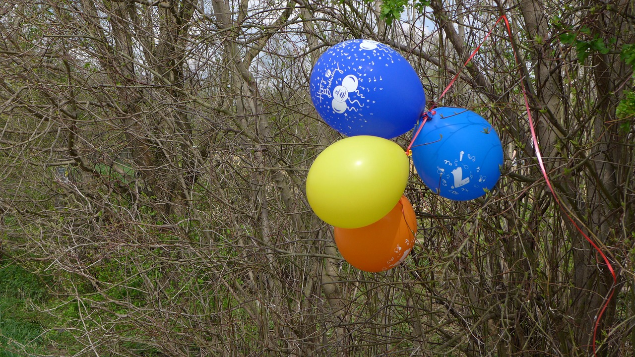 balloons bush mark free photo