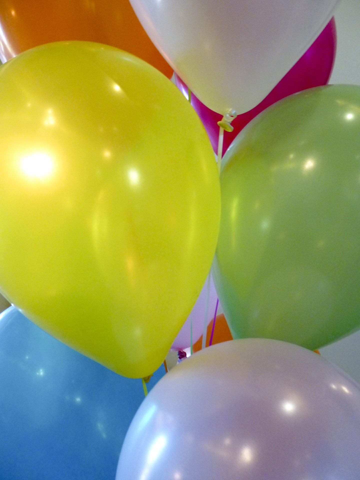 balloons party yellow free photo