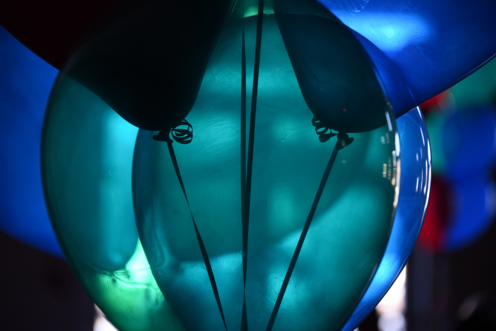 balloons close-up transparent free photo