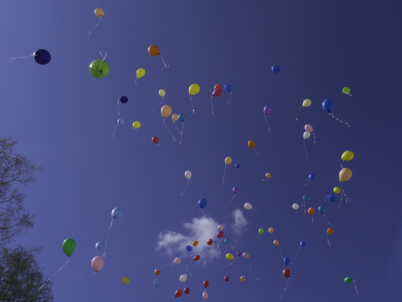 balloons anniversary inkblot free photo