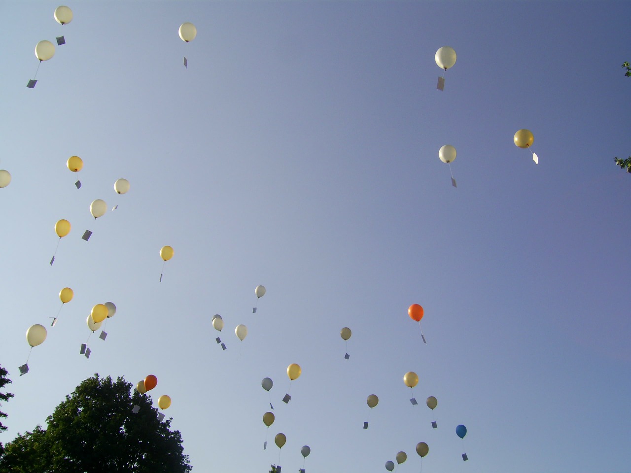 balloons sky competition free photo