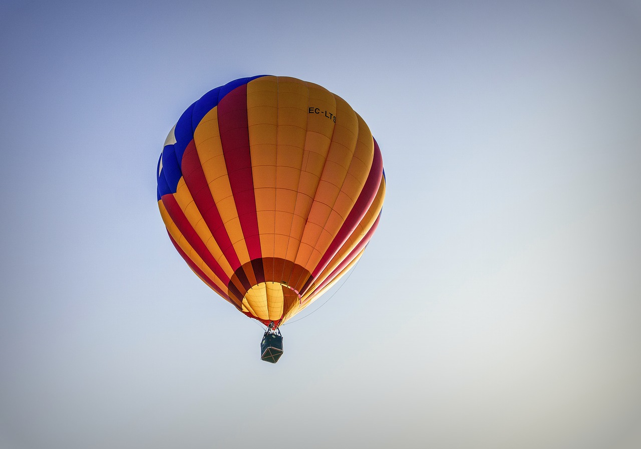 balloons  hot air  fly free photo