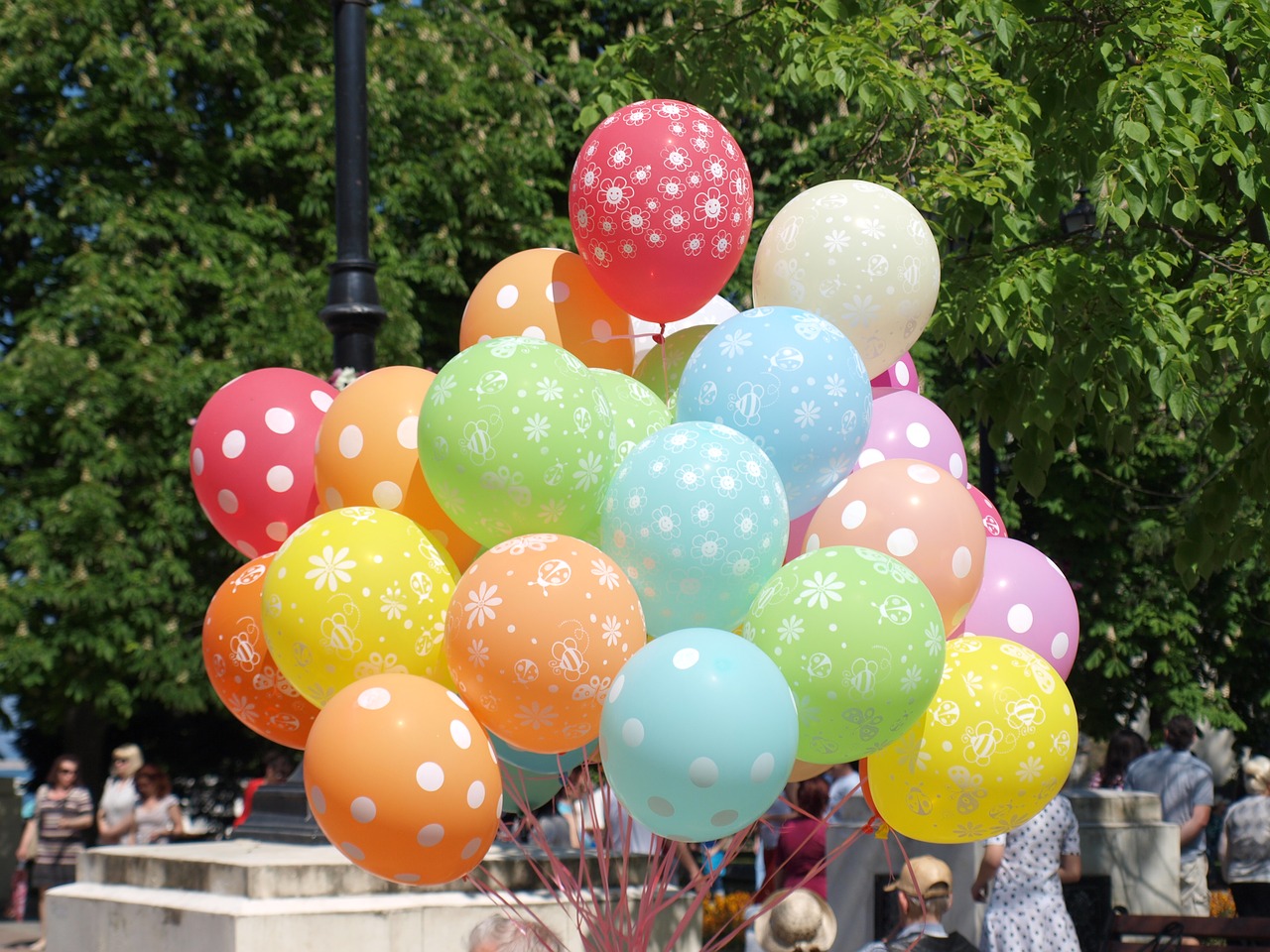 balloons  color  holiday free photo