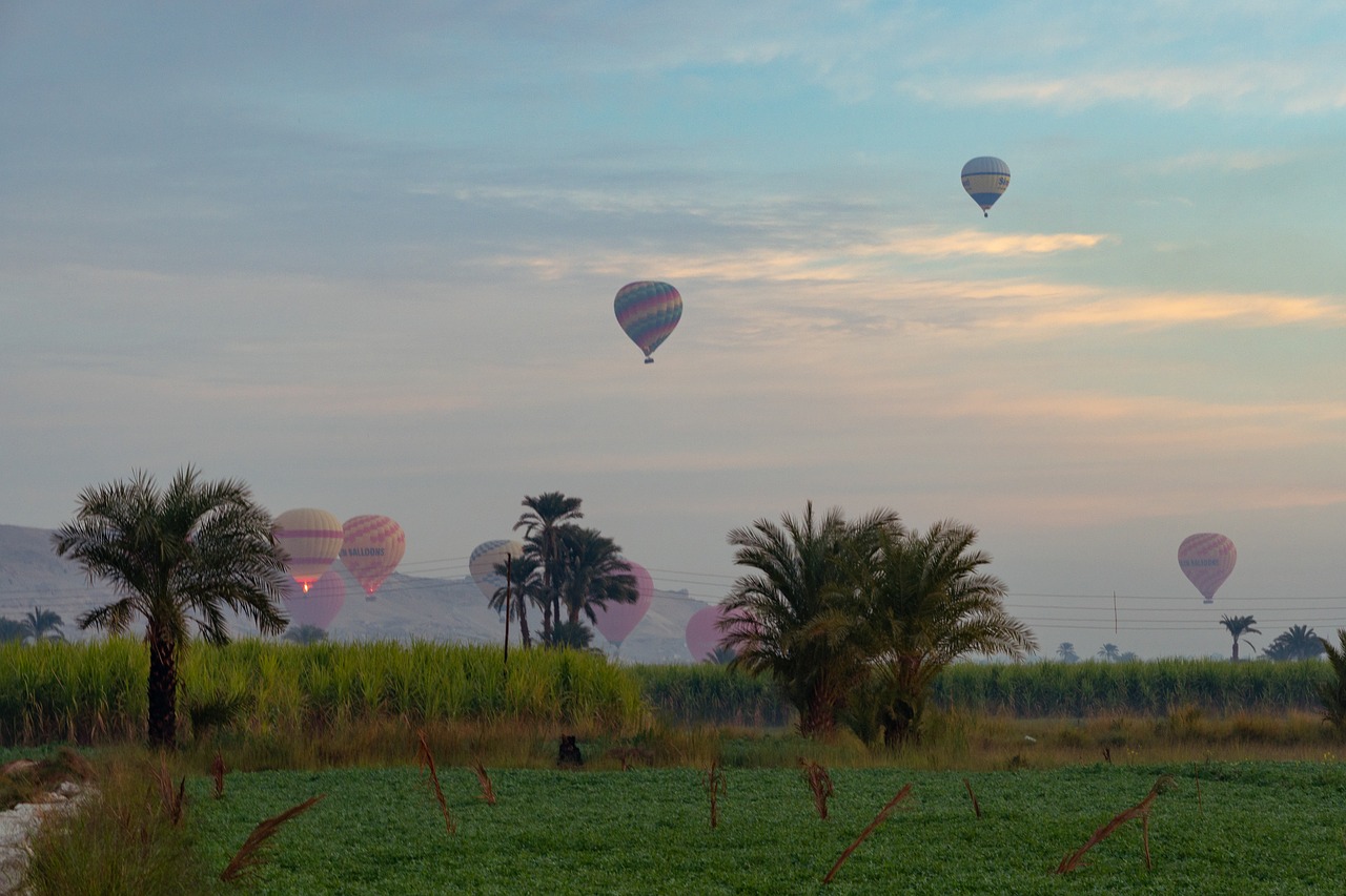 balloons  sky  colorful free photo