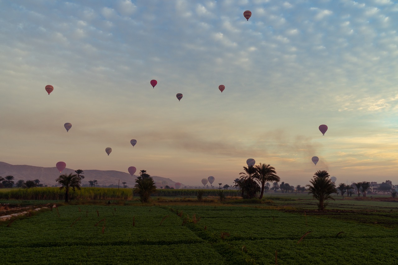 balloons  sky  flying free photo