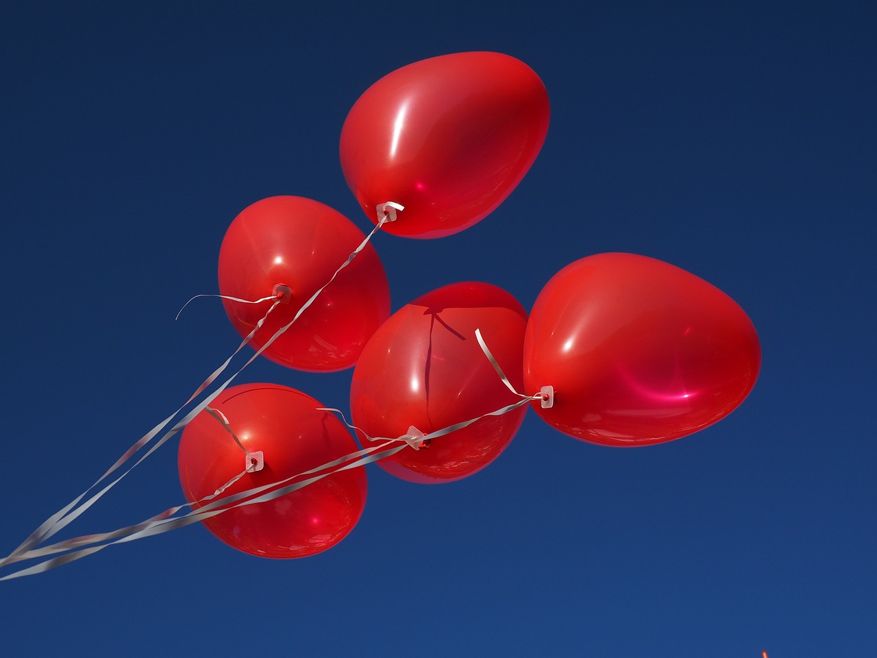 balloons heart love free photo