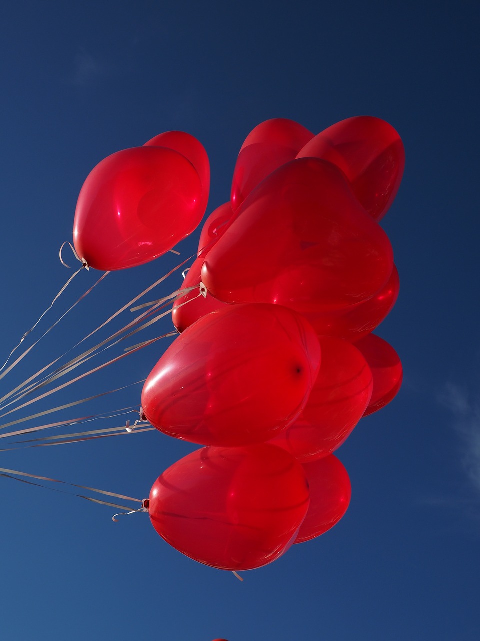 balloons heart love free photo