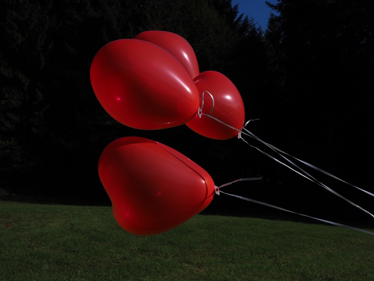 balloons heart love free photo