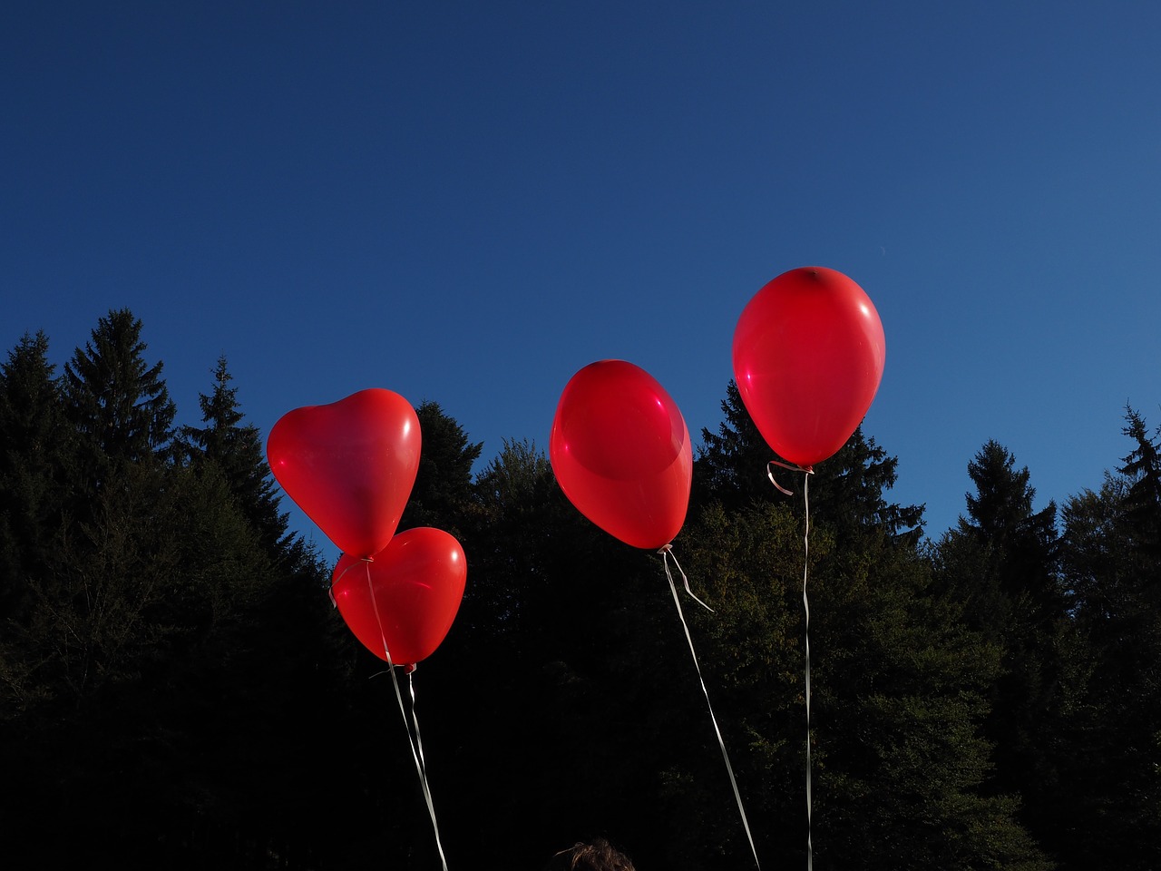 balloons heart love free photo
