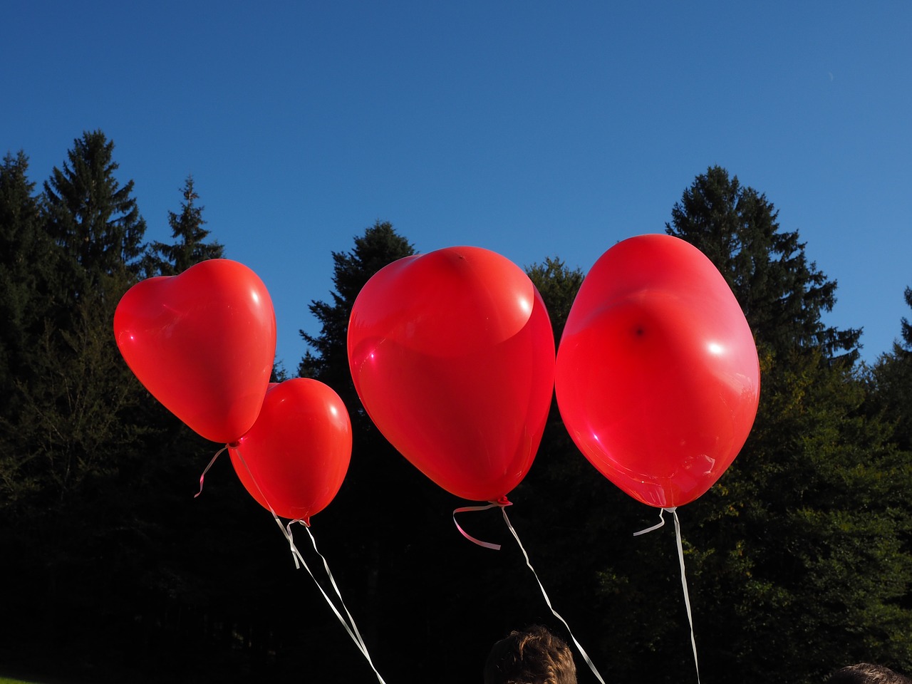 balloons heart love free photo