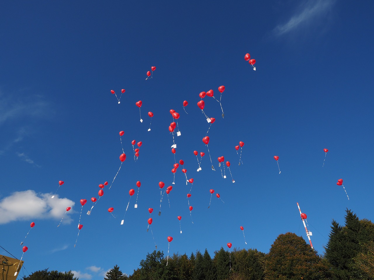 balloons fly wedding free photo