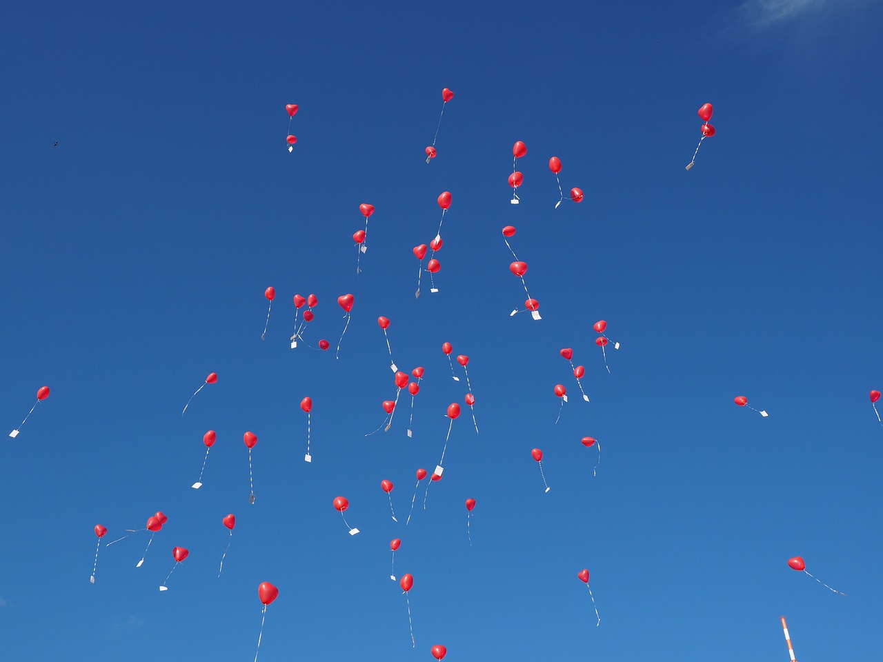 balloons fly wedding free photo