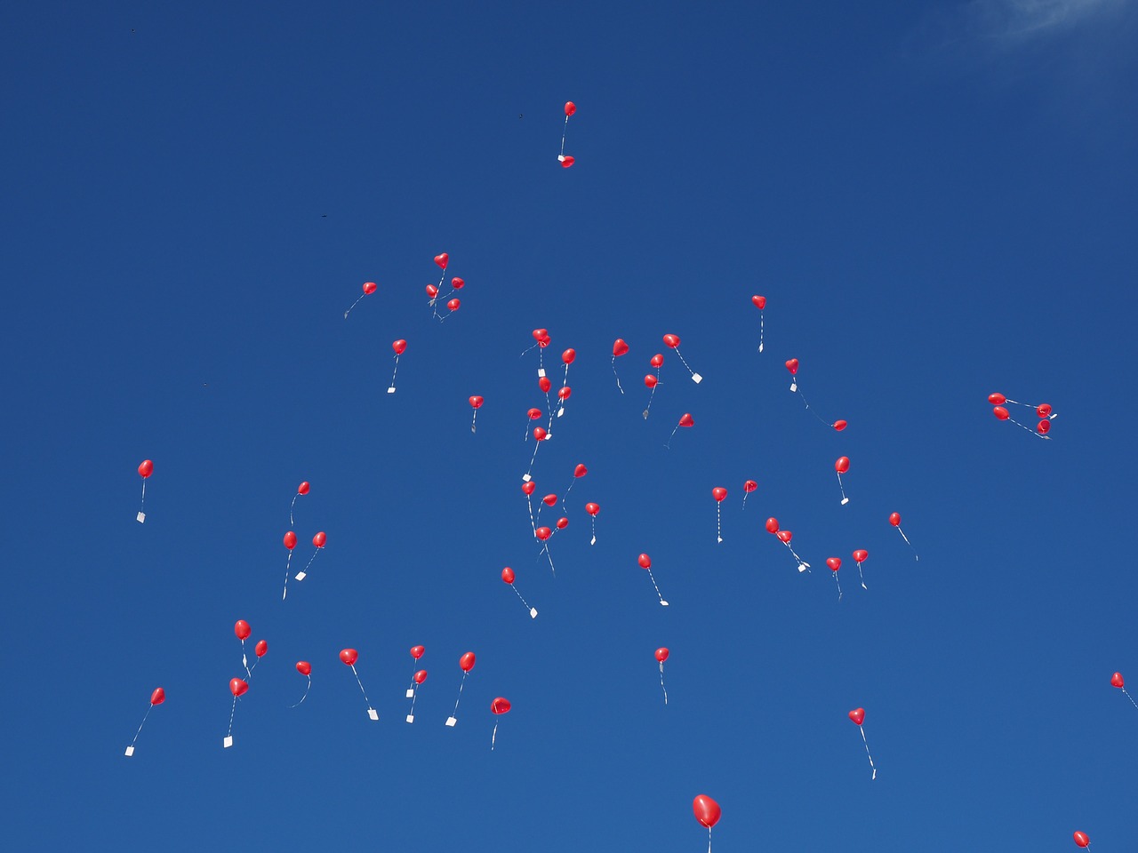 balloons fly wedding free photo