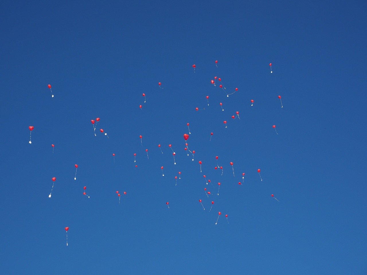 balloons fly wedding free photo