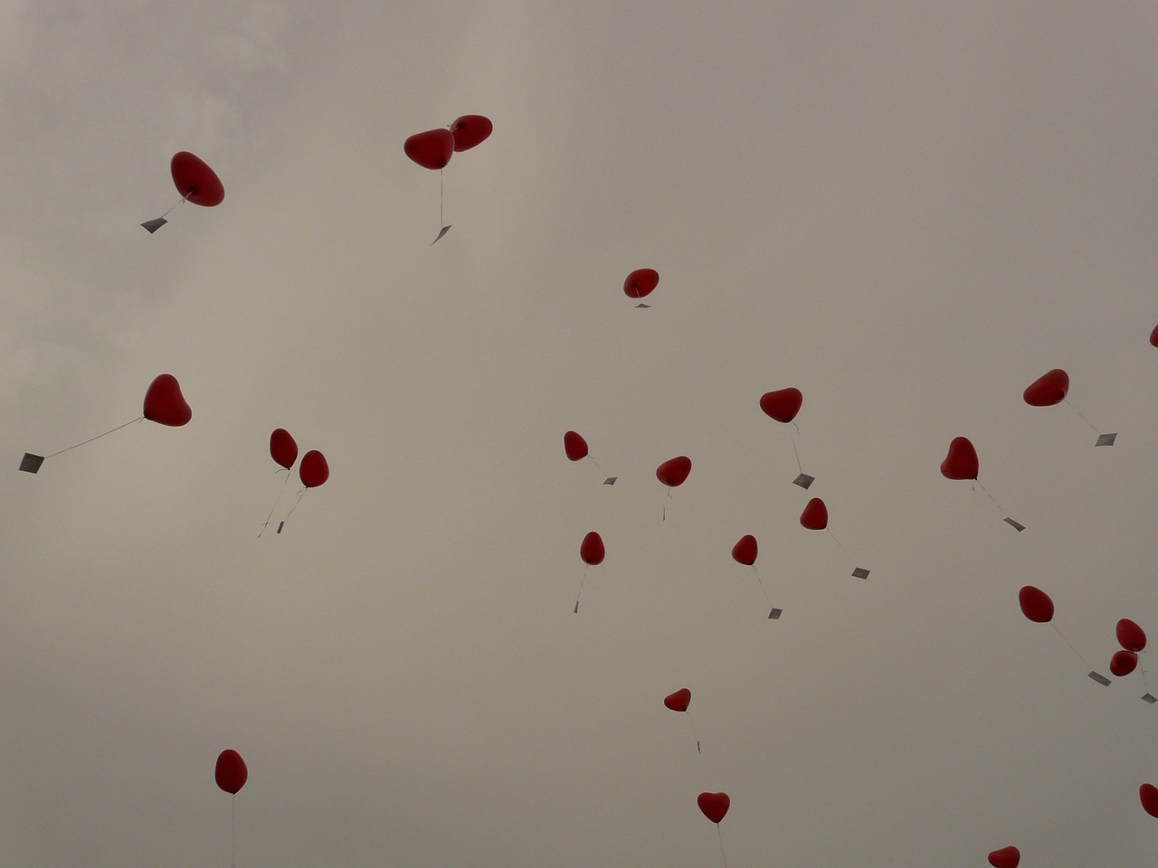 balloons heart love free photo