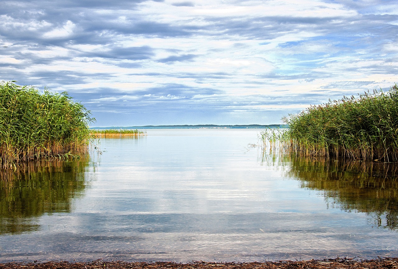 balmer see island of usedom nature free photo