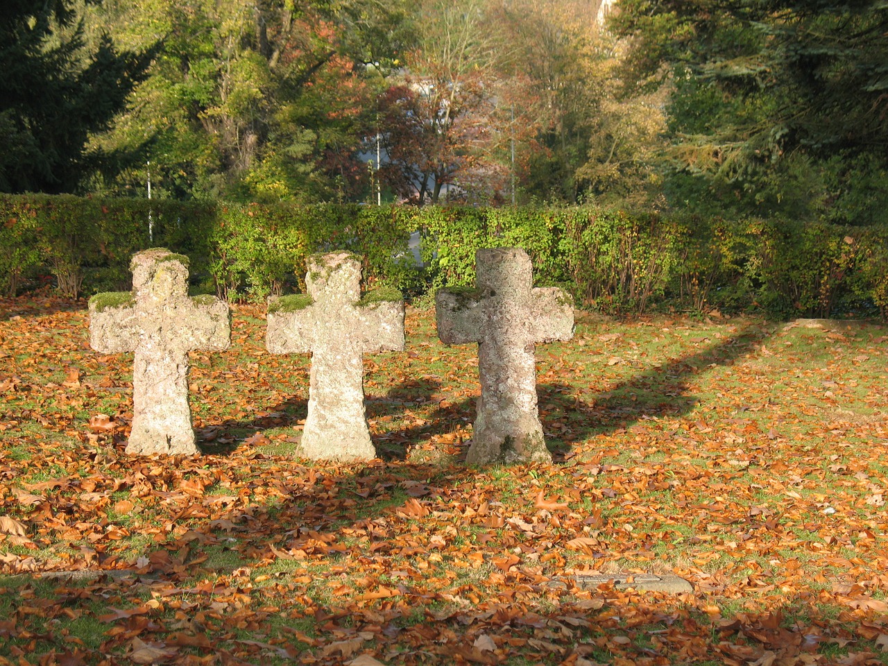 balsthal cemetery autumn free photo