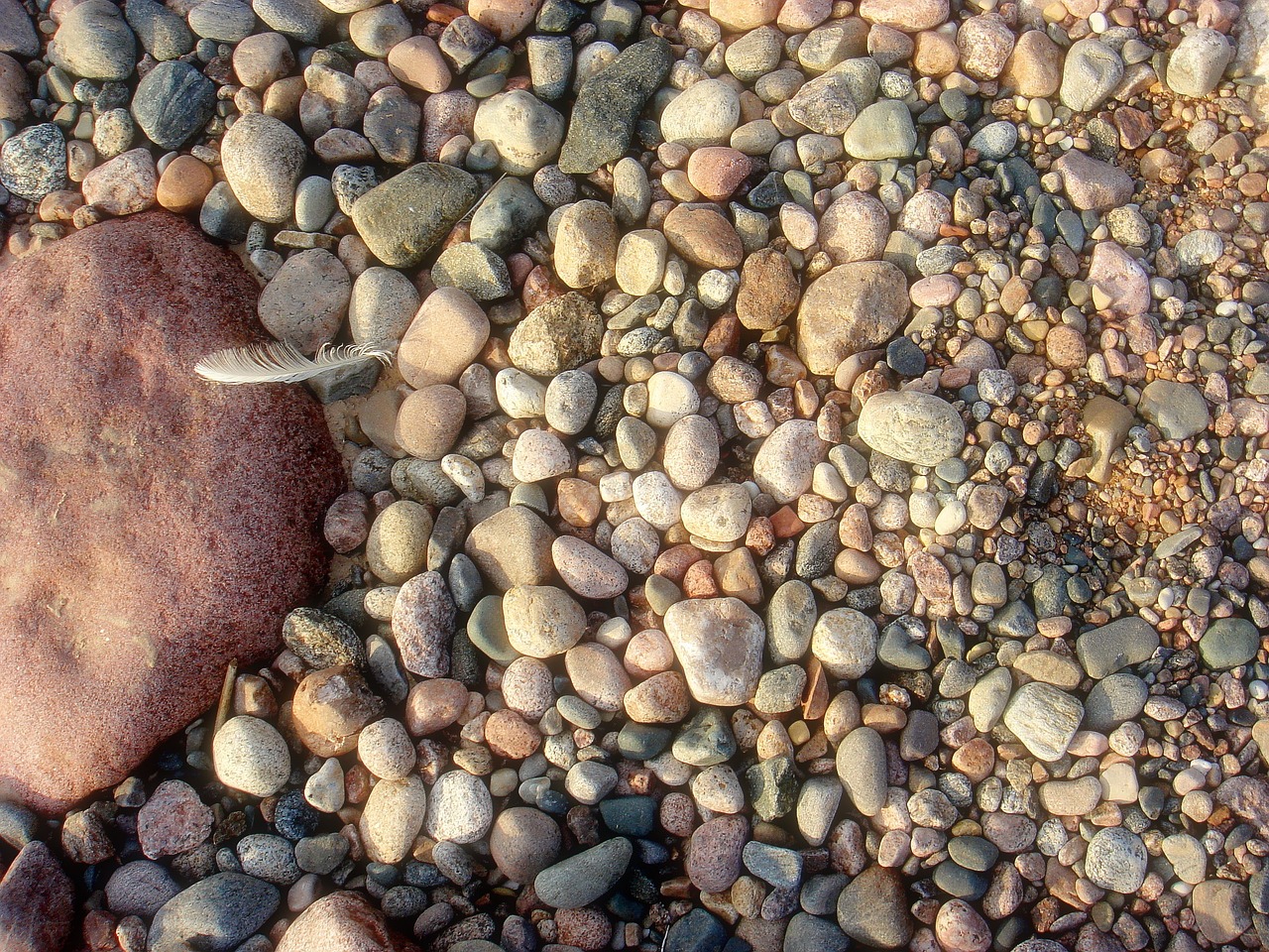 shore baltic sea free photo