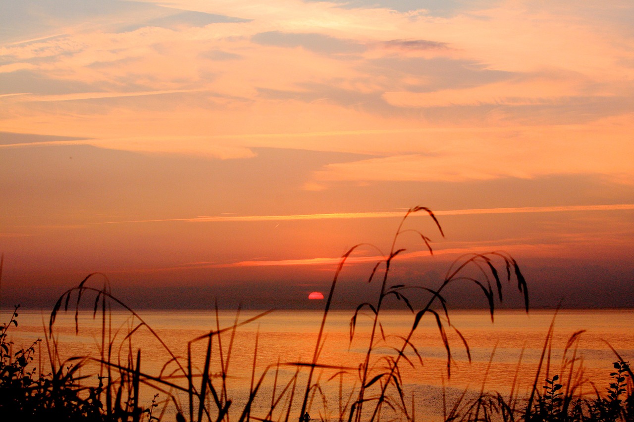 baltic sea sun free photo