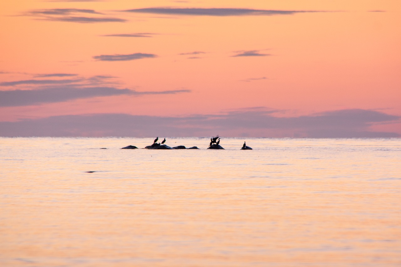 baltic  sea  mood free photo