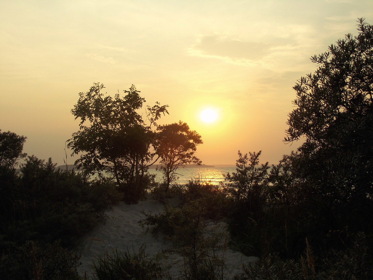 baltic sea sea sunset free photo