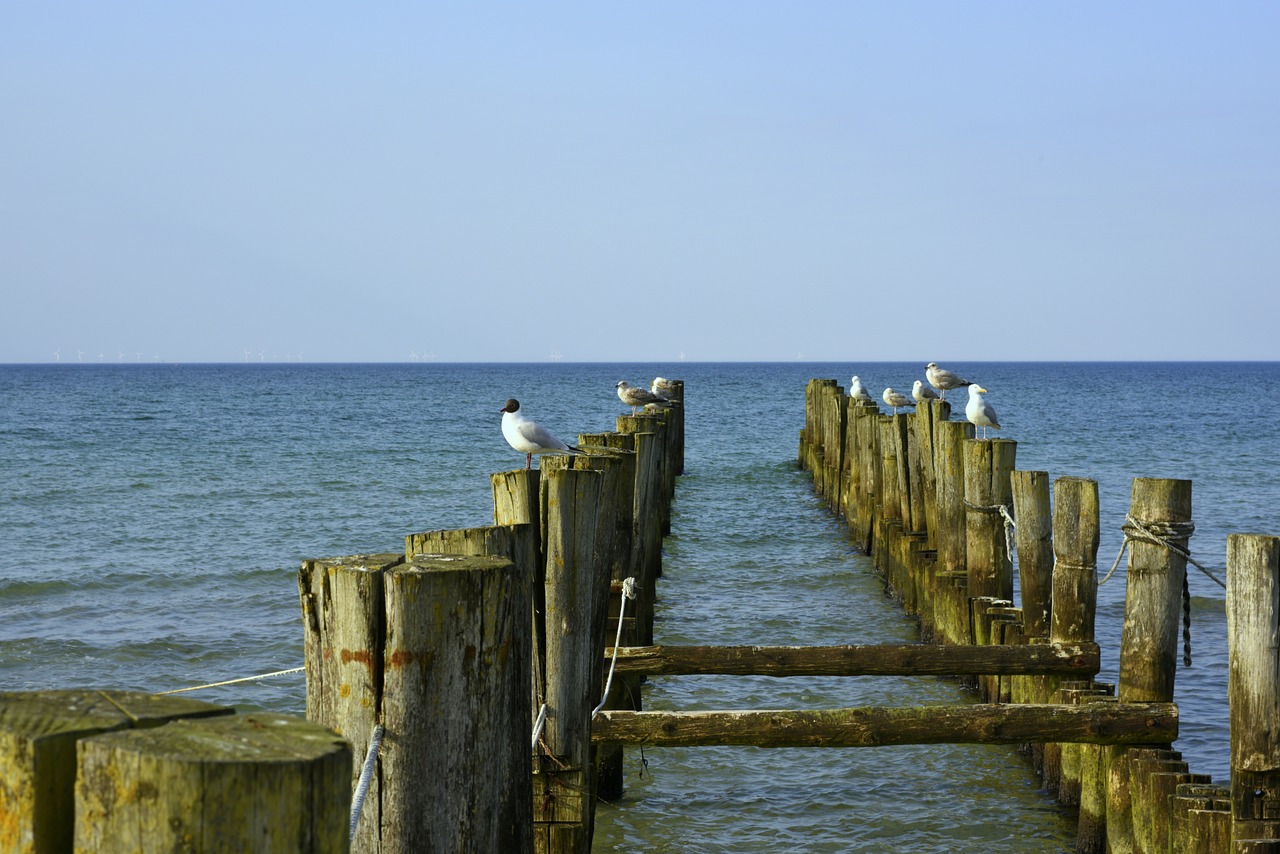 baltic sea beach zingst free photo