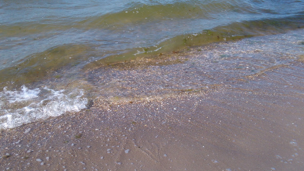 baltic sea coast water free photo