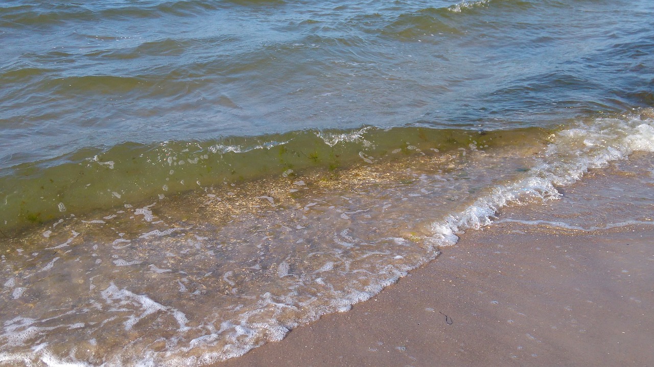 baltic sea water coast free photo