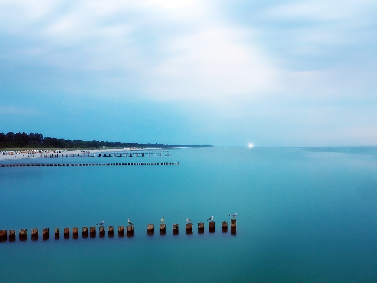 baltic sea sea beach free photo