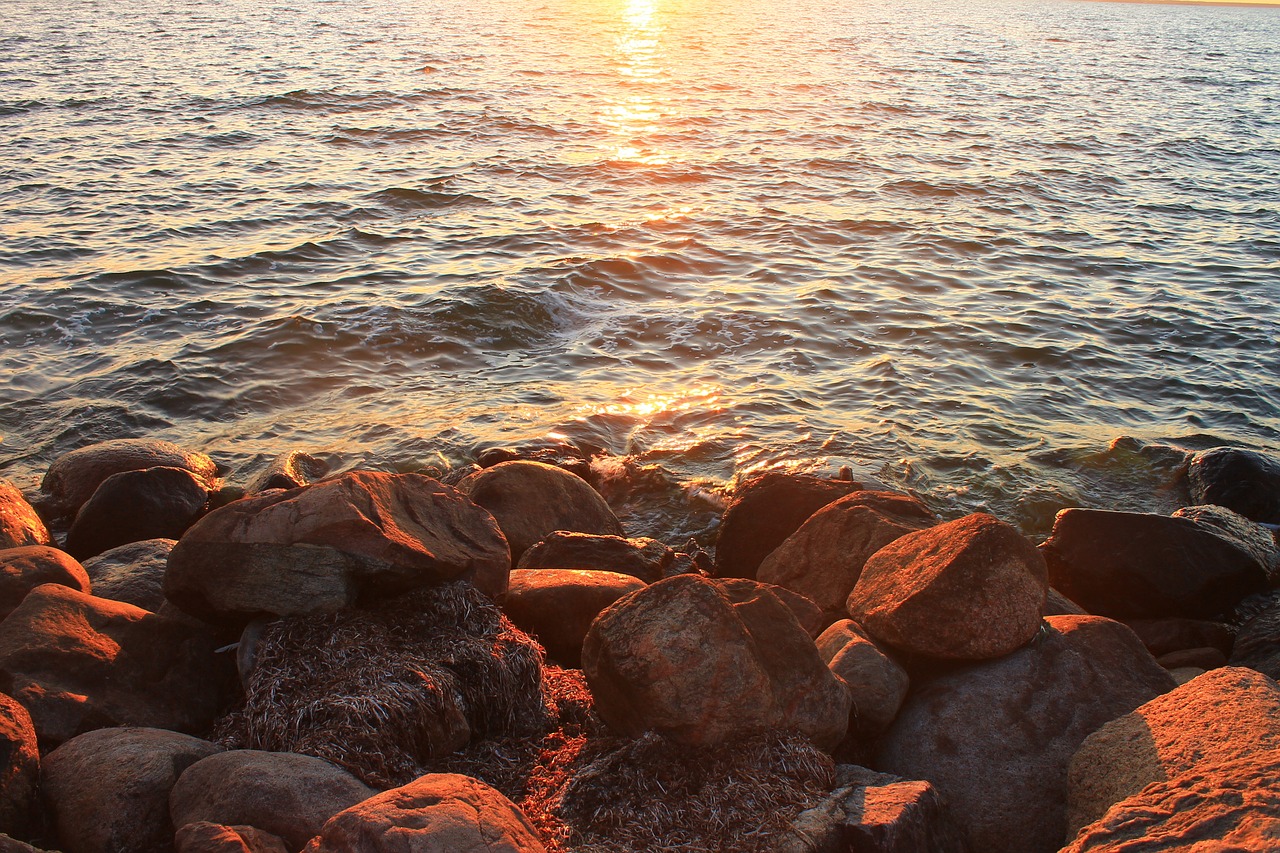 baltic sea sea sunset free photo