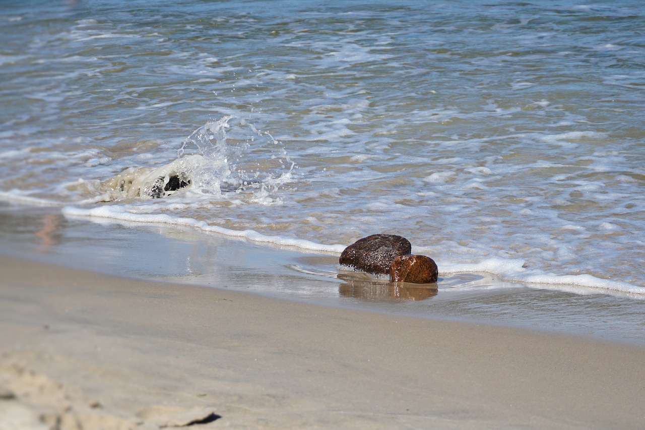 baltic sea wave water free photo