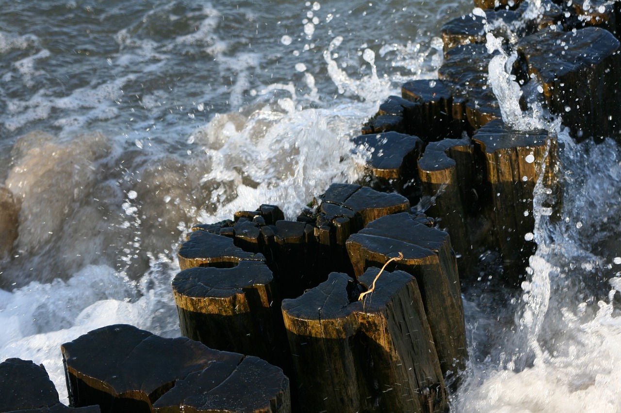 baltic sea wood spray free photo