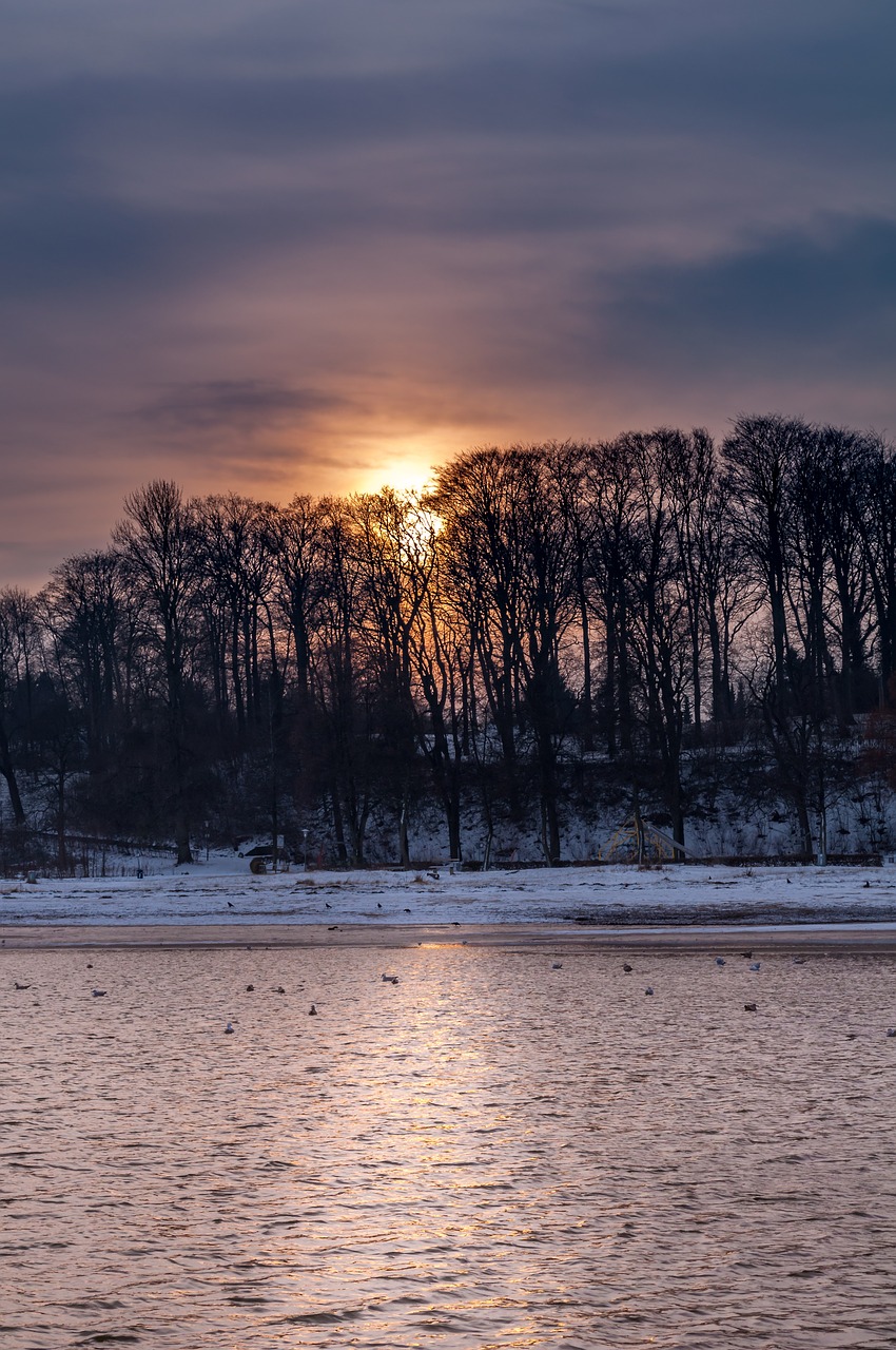 baltic sea coast nature free photo