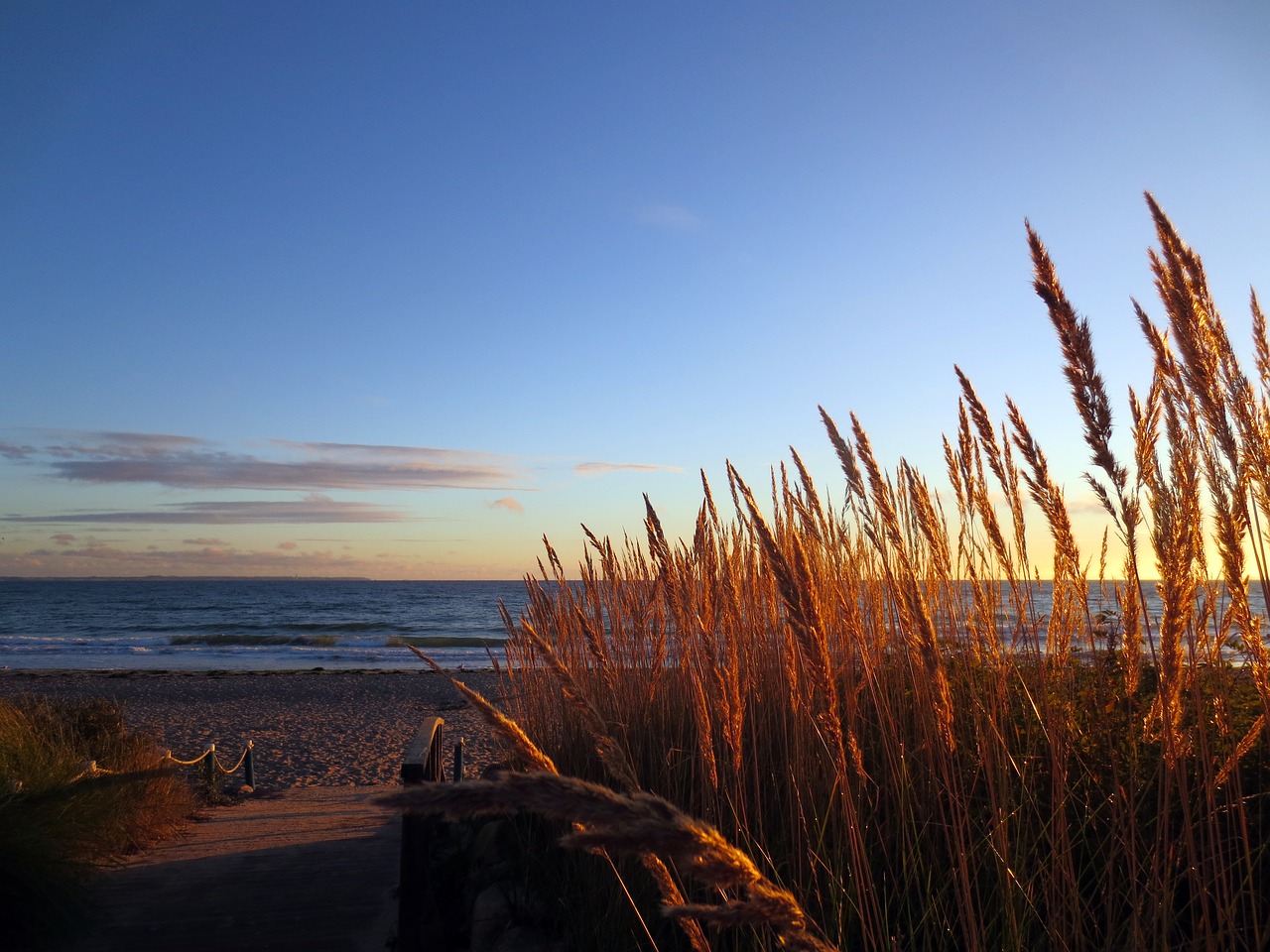 baltic sea beach winter free photo