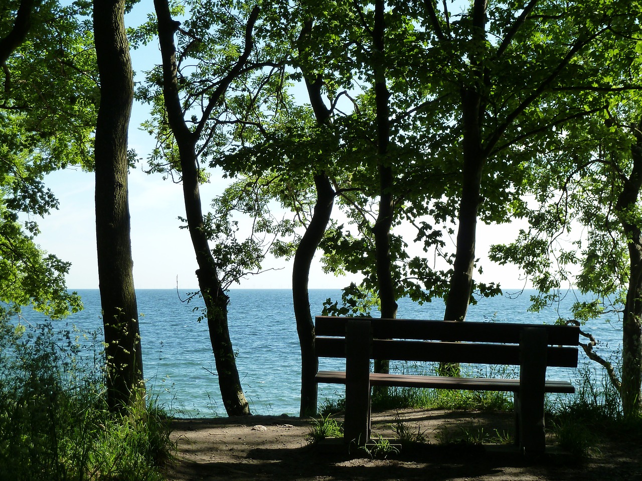 baltic sea beach holiday free photo