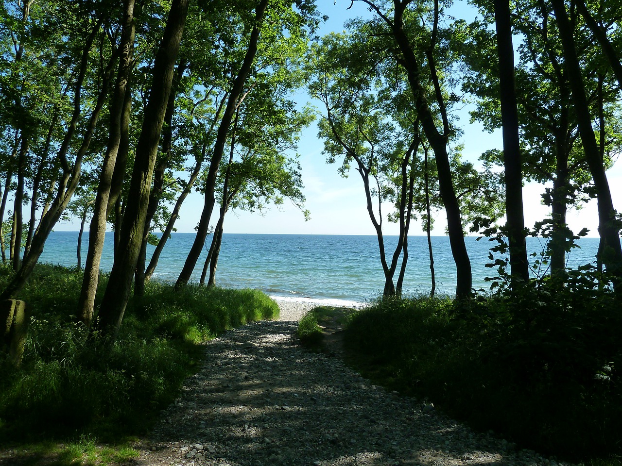 baltic sea beach holiday free photo