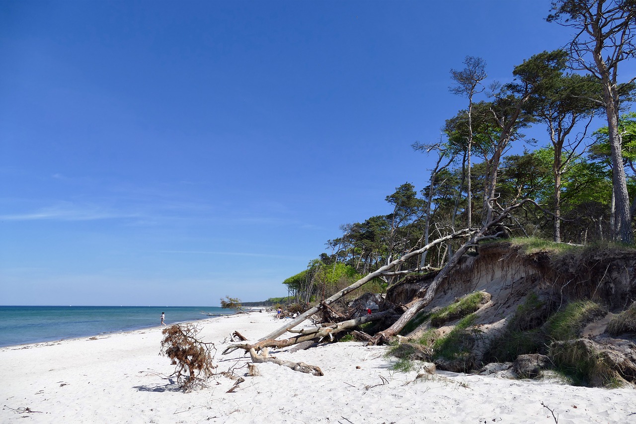 baltic sea west beach fischland-darss free photo