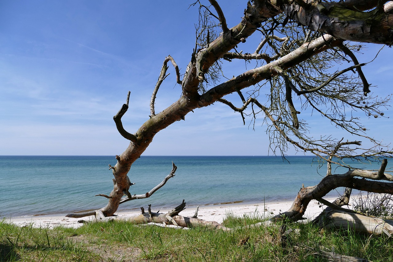 baltic sea west beach fischland-darss free photo