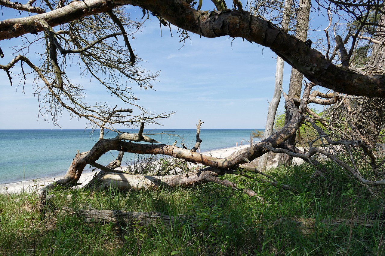 baltic sea west beach fischland-darss free photo