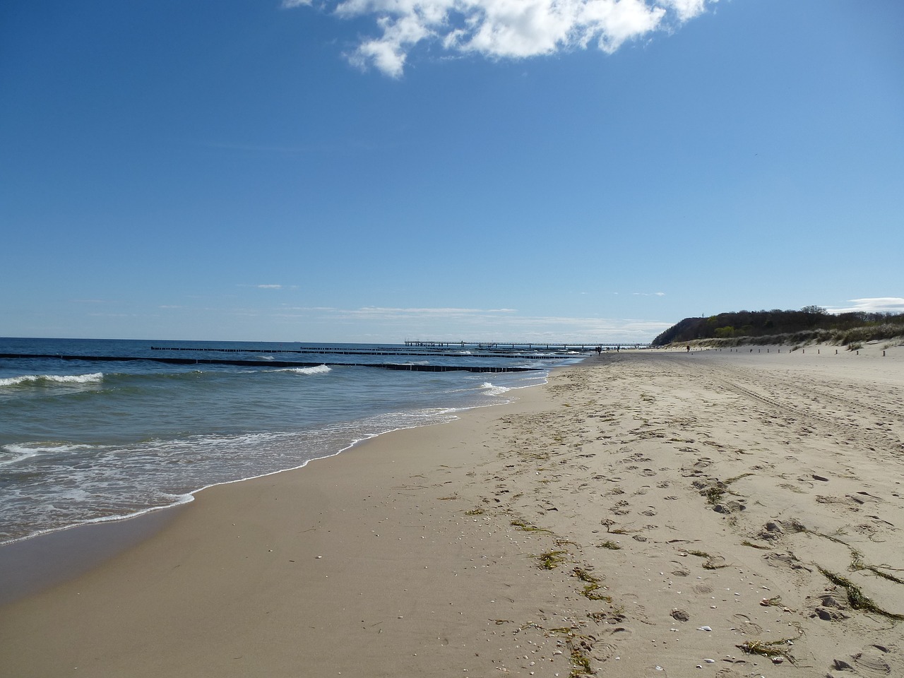 baltic sea beach usedom free photo