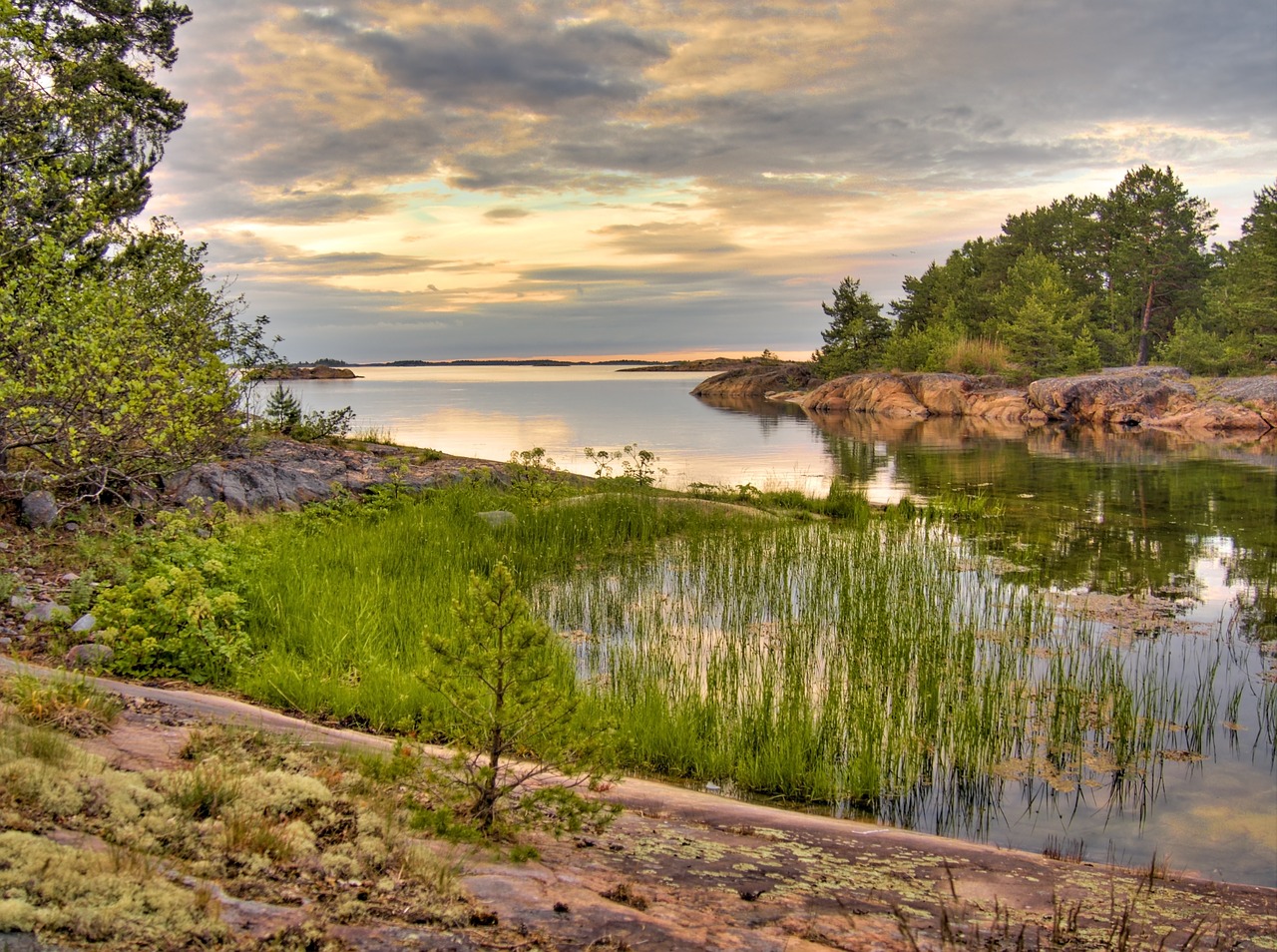 baltic sea sweden coast free photo