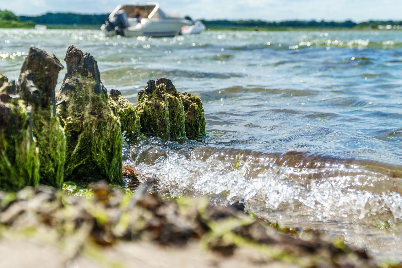 baltic sea beach sea free photo