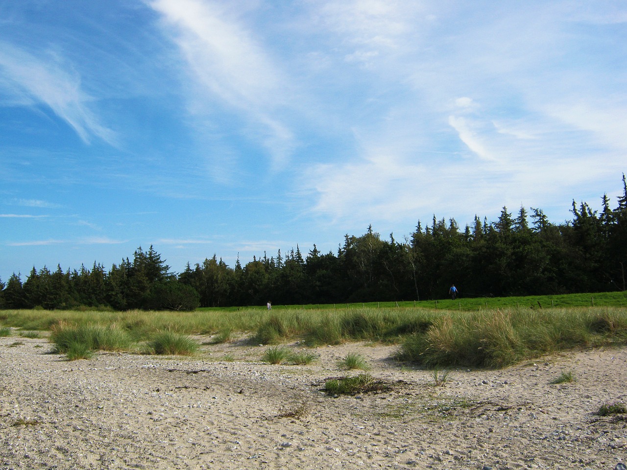 baltic sea beach sky free photo