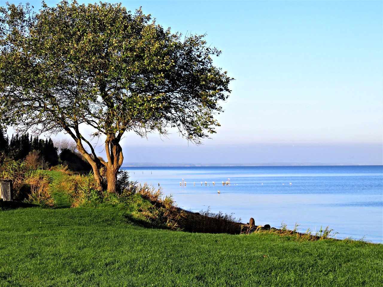 baltic sea denmark sea free photo