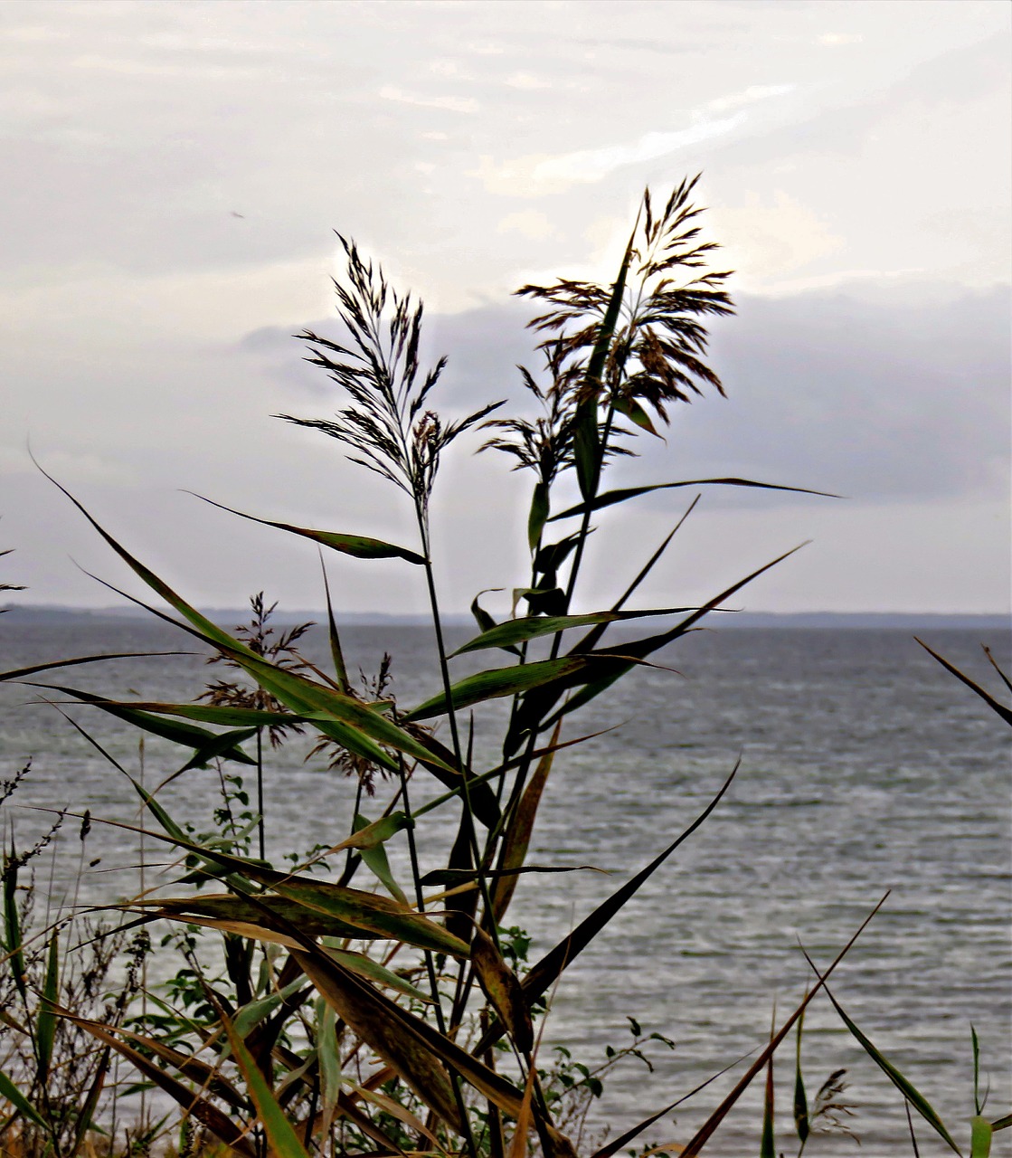 baltic sea autumn mood grey sea free photo