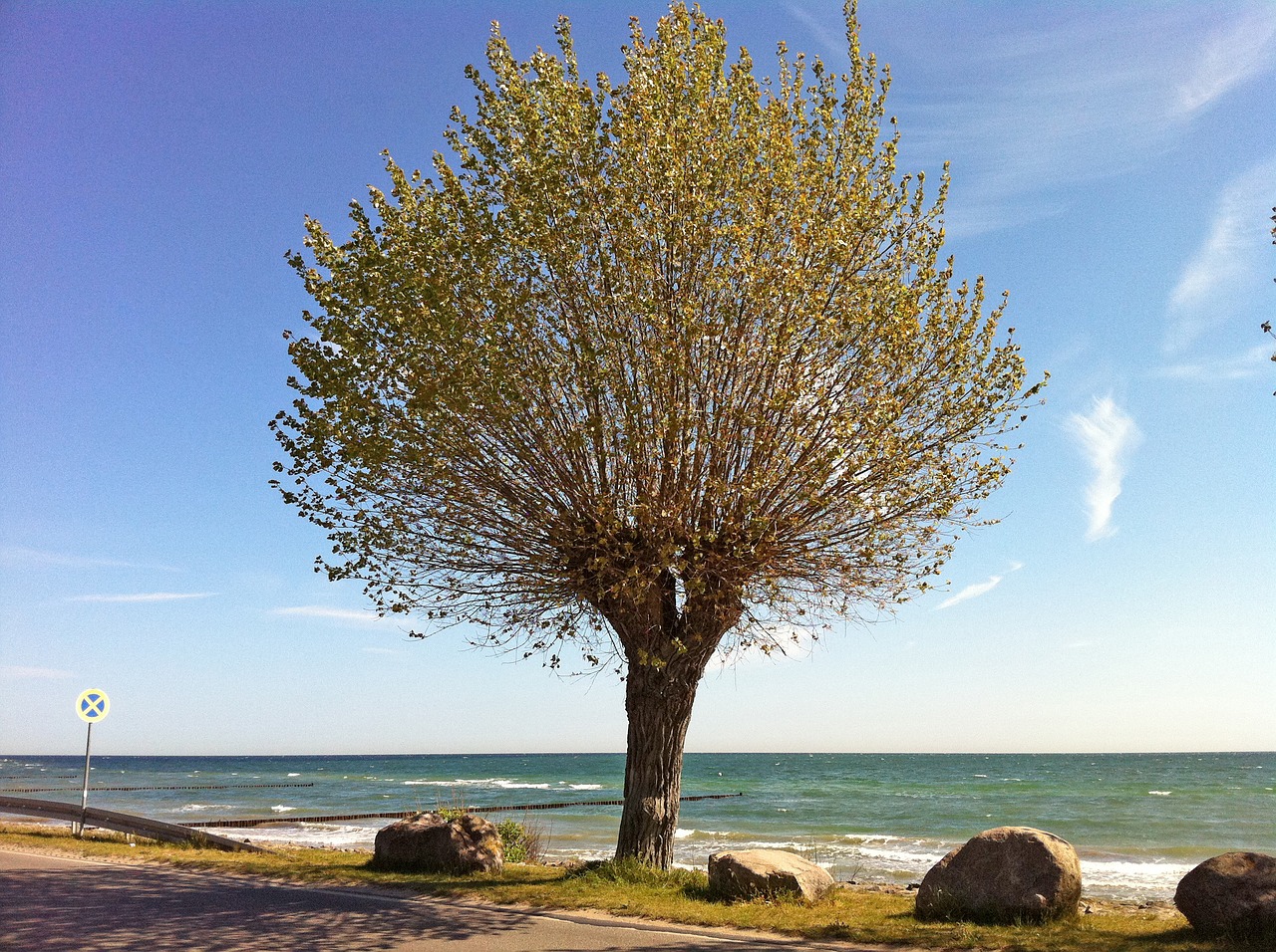 baltic sea boltenhagen summer free photo