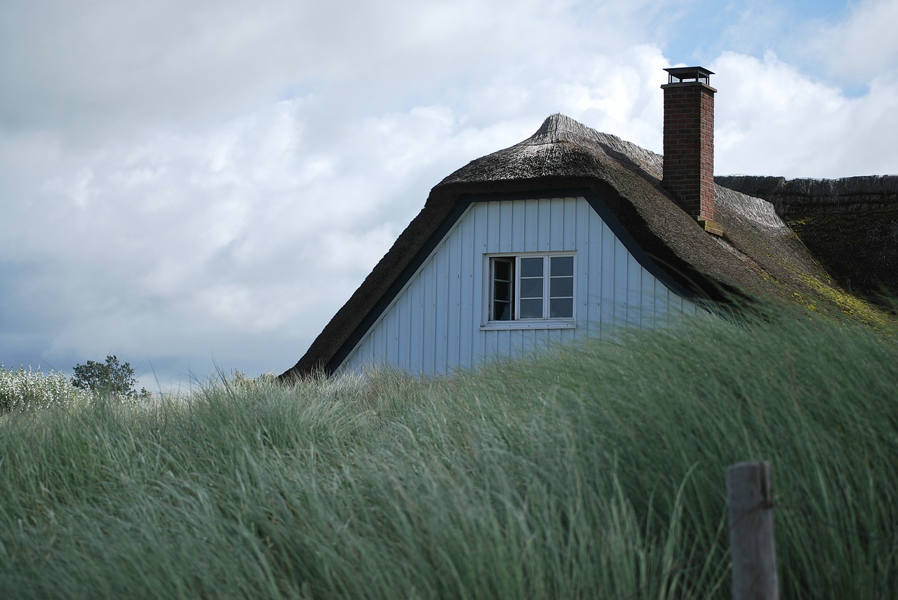 baltic sea reed roof coast free photo