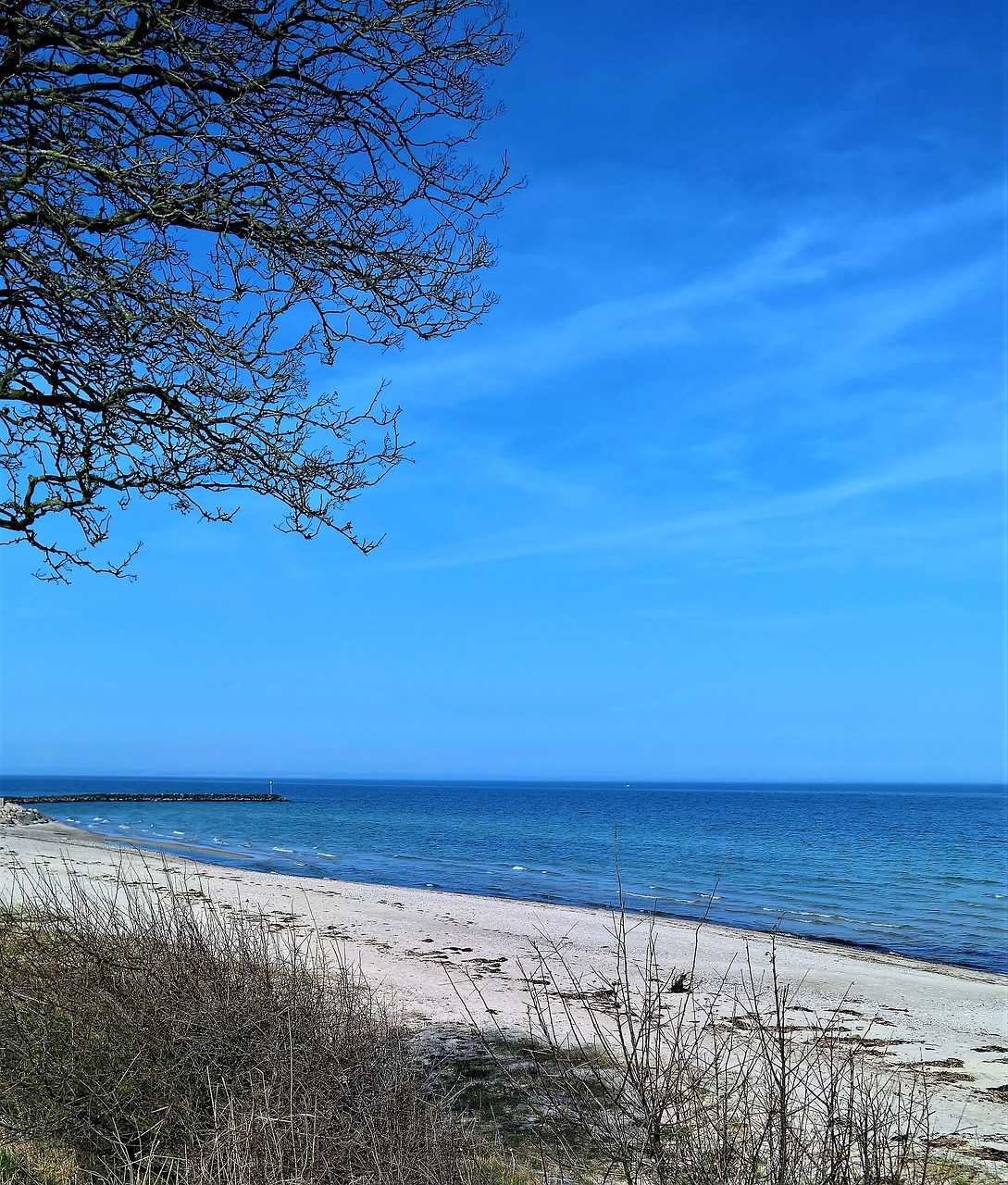 baltic sea  denmark  coast free photo