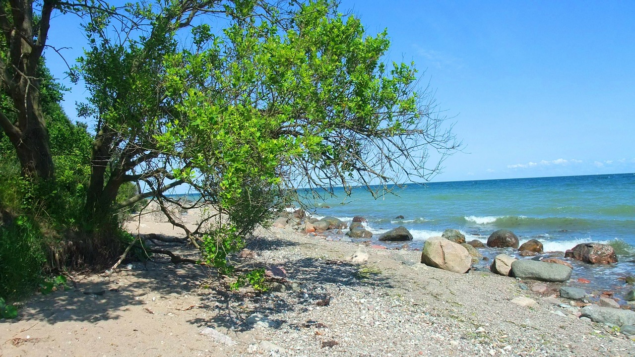 baltic sea beach coast free photo